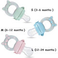 Wholesale baby food feeder infant nibbler feeding baby fruit pacifier